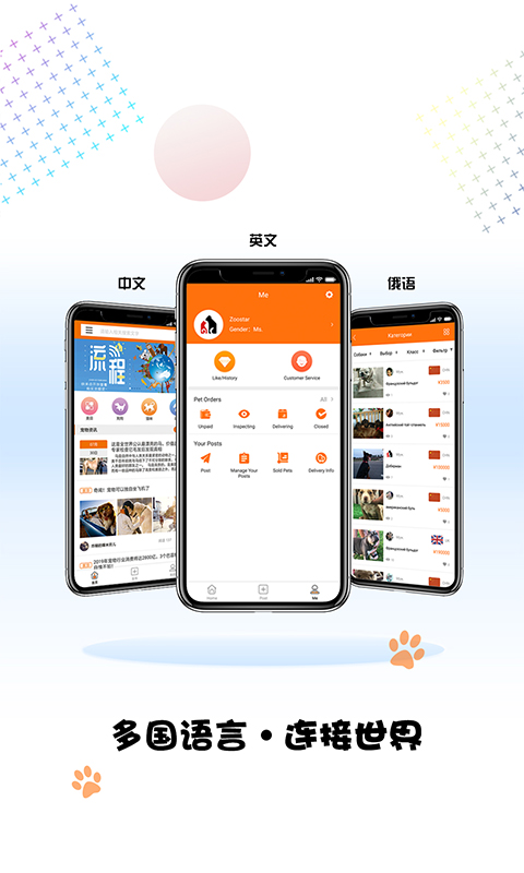 宠小七 截图5