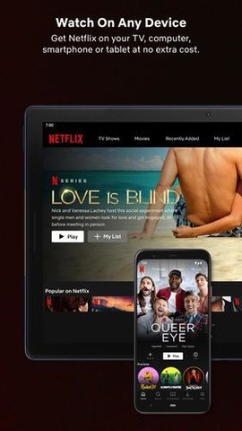 奈飞netflix中文版 截图3