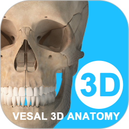 维萨里3d解剖app最新版