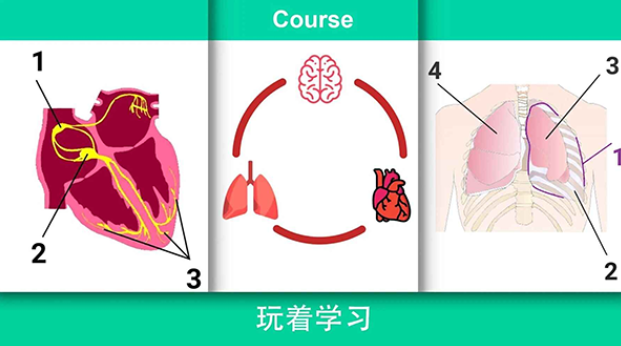 真实医疗模拟器汉化版