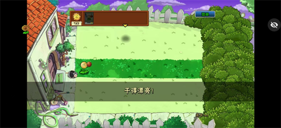植物大战僵尸ikun版向日葵 截图1