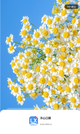 冷心口袋app官方