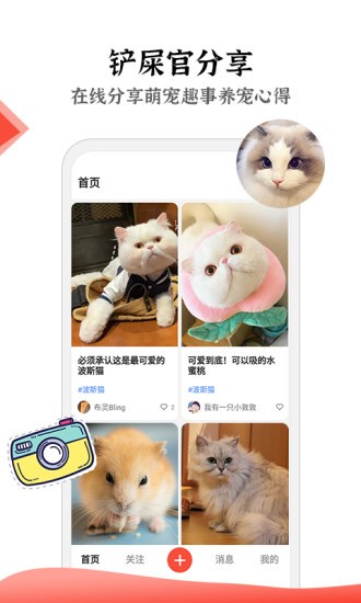 猫猫社 截图3