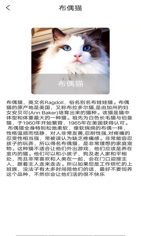 优宠快报 截图2