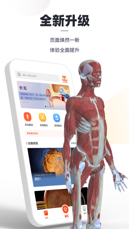 口袋人体解剖app 2.2.8 截图4