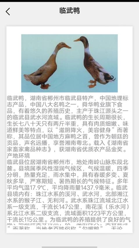 鹅鸭之家app v0.3