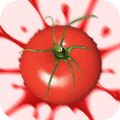 粉碎番茄CrushTomato  v2.0.4