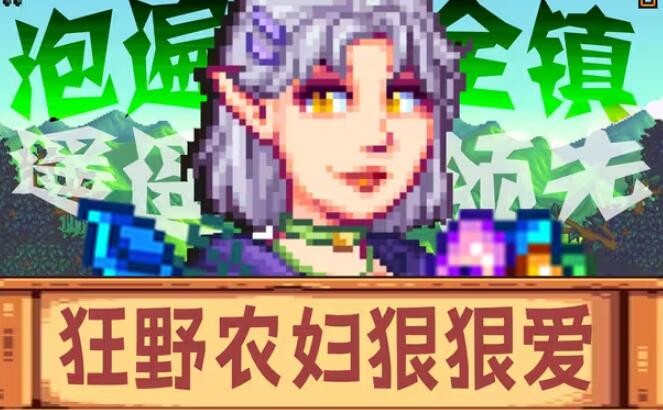 星露谷物语乙女版直装 截图2