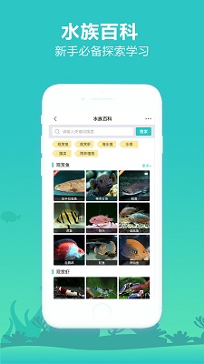 泡泡水族app安卓最新版本