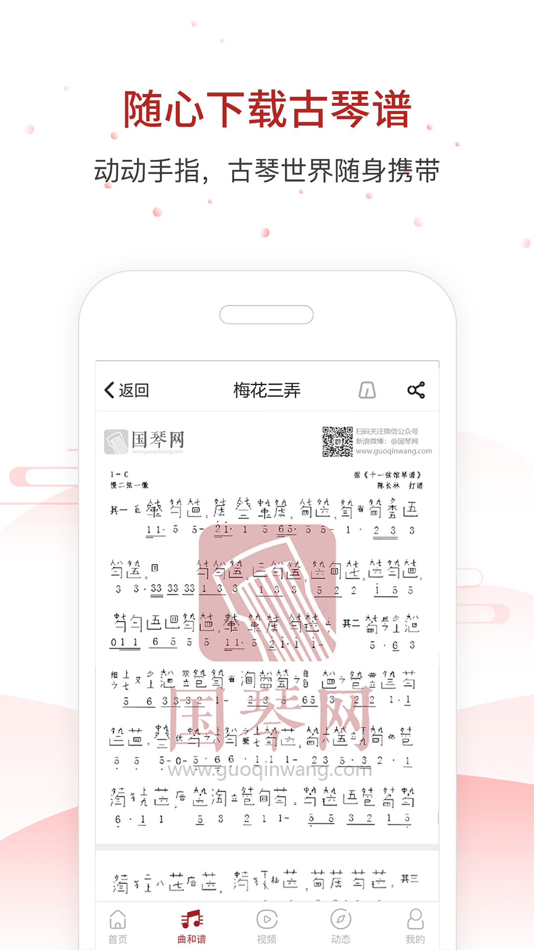 国琴网app 截图3