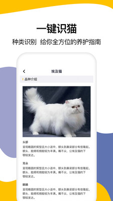 猫语翻译大全 截图4
