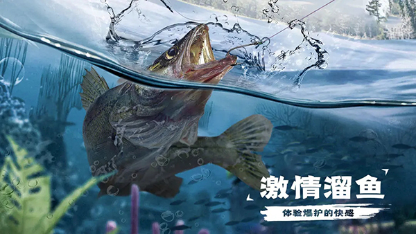 天天钓鱼无广告2025 截图5