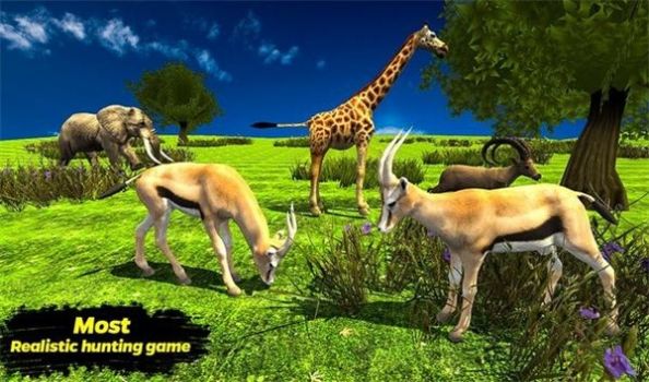 猎鹿探险游戏 截图3