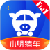 小明猪车手机版 3.0.0