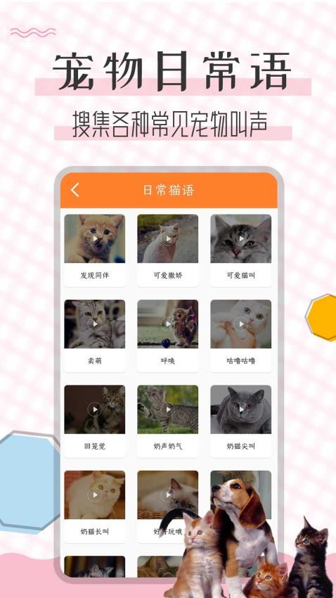 猫语翻译宝2025 截图1