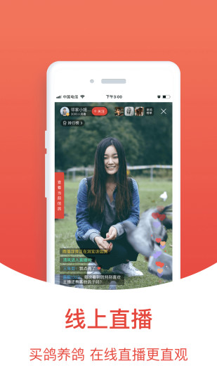 搜鸽天下一查信鸽成绩(赛鸽头条) 截图1