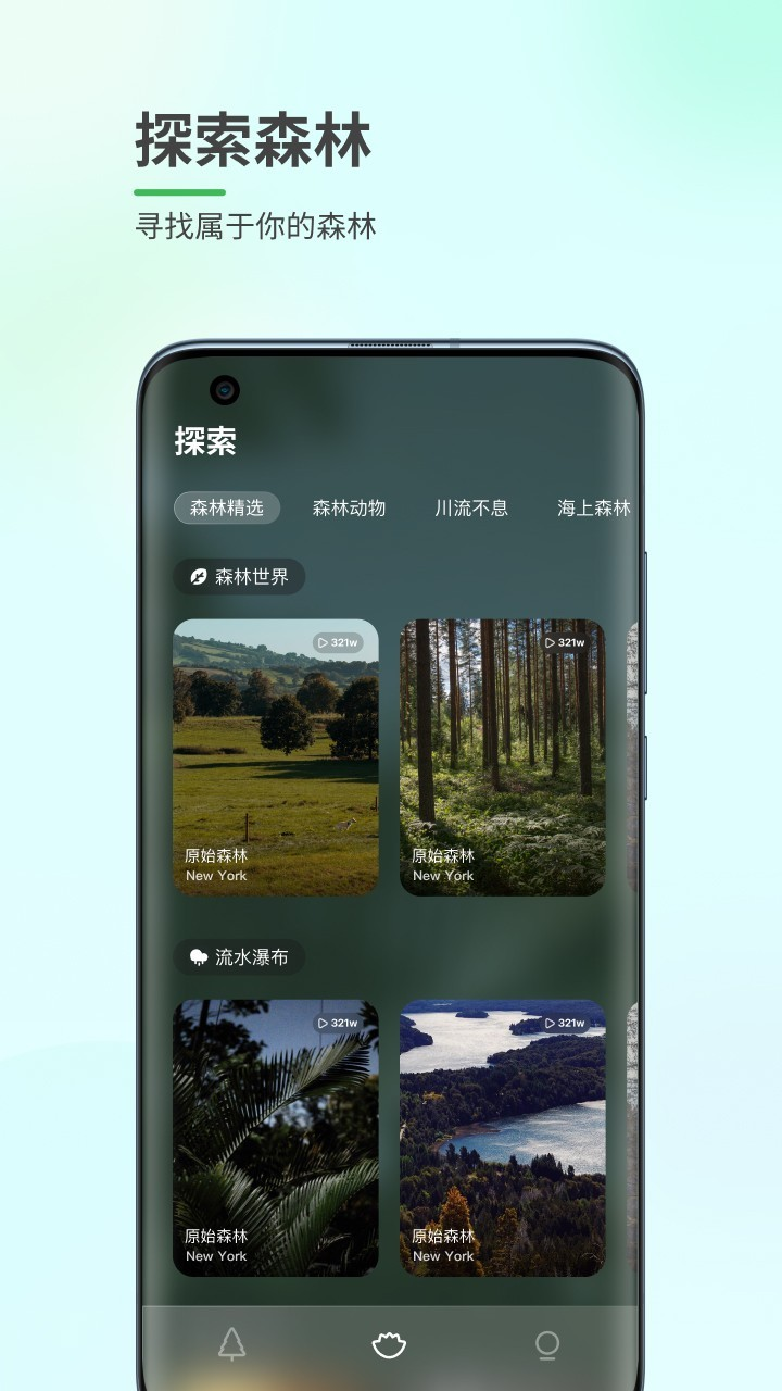 森林白噪音app 1.0.1 截图1