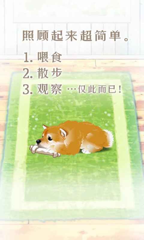 养育柴犬的治愈游戏 截图1