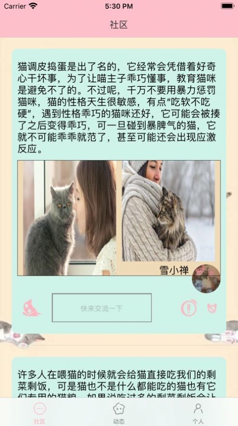 猫咪生活社区 截图2