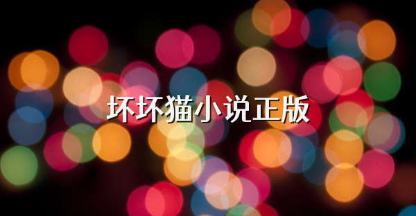 坏坏猫小说正版