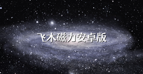 飞木磁力安卓版
