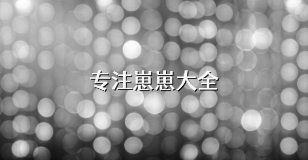 专注崽崽大全