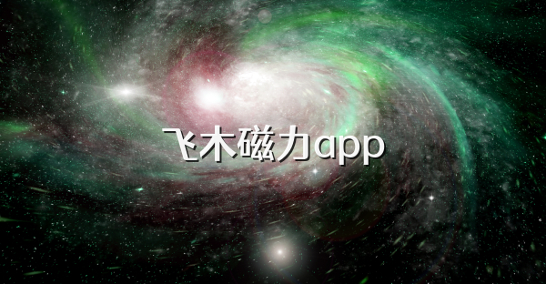 飞木磁力app
