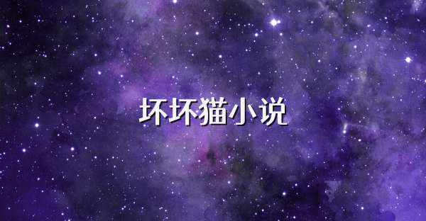 坏坏猫小说