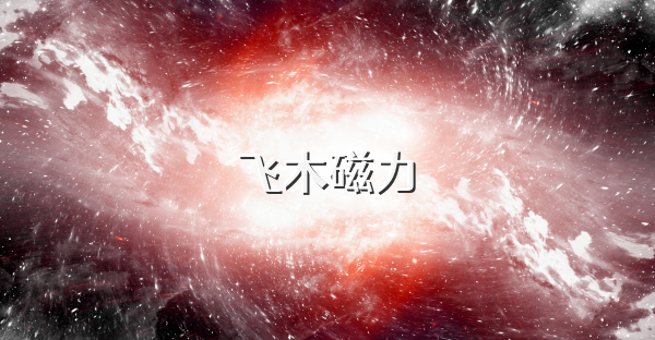 飞木磁力