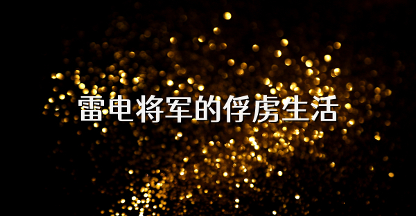 雷电将军的俘虏生活