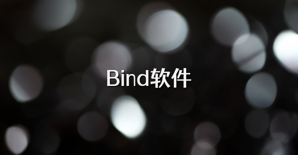 Bind软件
