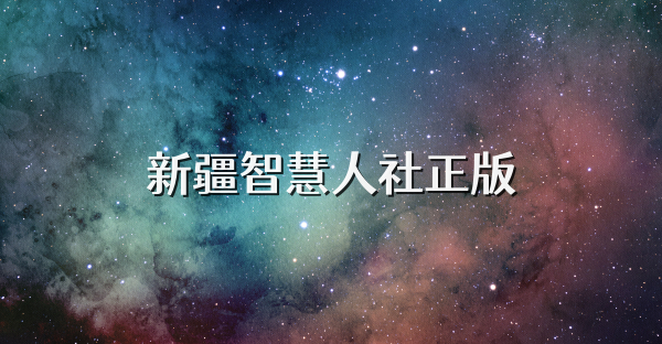 新疆智慧人社正版