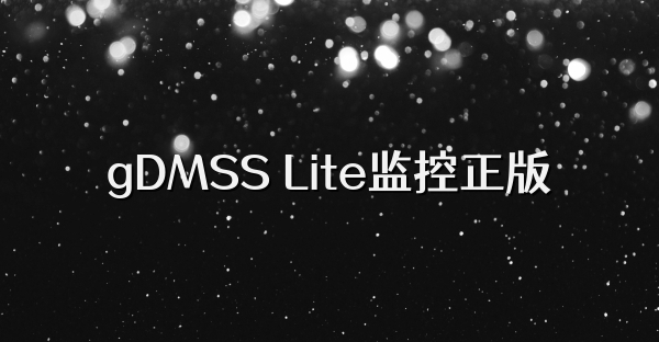 gDMSS Lite监控正版