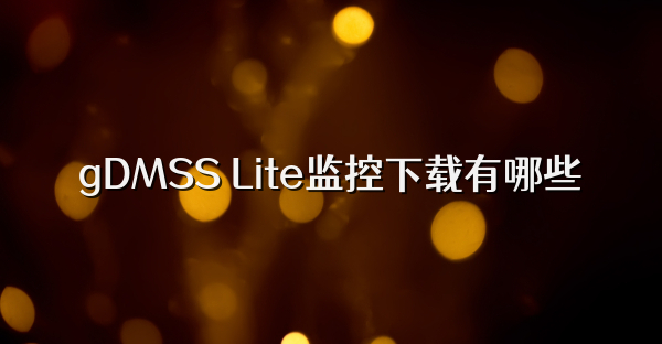 gDMSS Lite监控下载有哪些