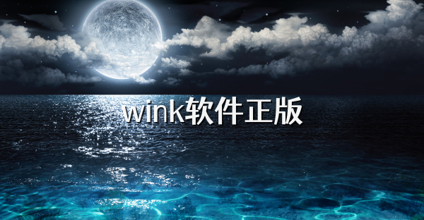 wink软件正版