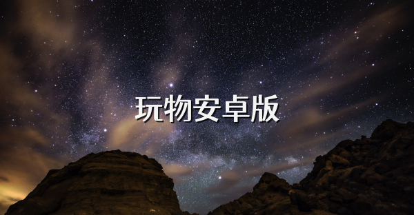 玩物安卓版
