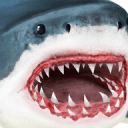 终极鲨鱼模拟器  v2.4