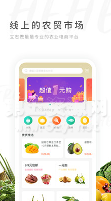 禾禾网APP