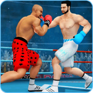 Ninja Punch Boxing Warrior(我的拳王男友免费版)