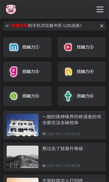 bt磁力猪搜索引擎 截图3