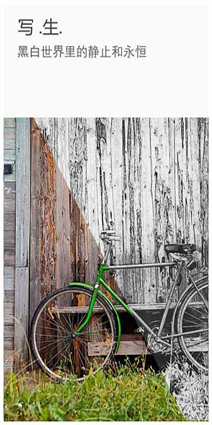 理理相册最新版