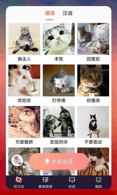 猫语翻译器软件 2.8.4 截图4
