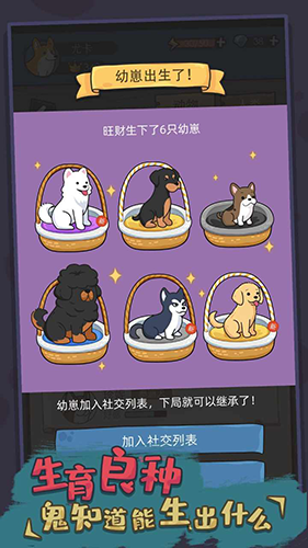 狗生模拟器折相思 截图1