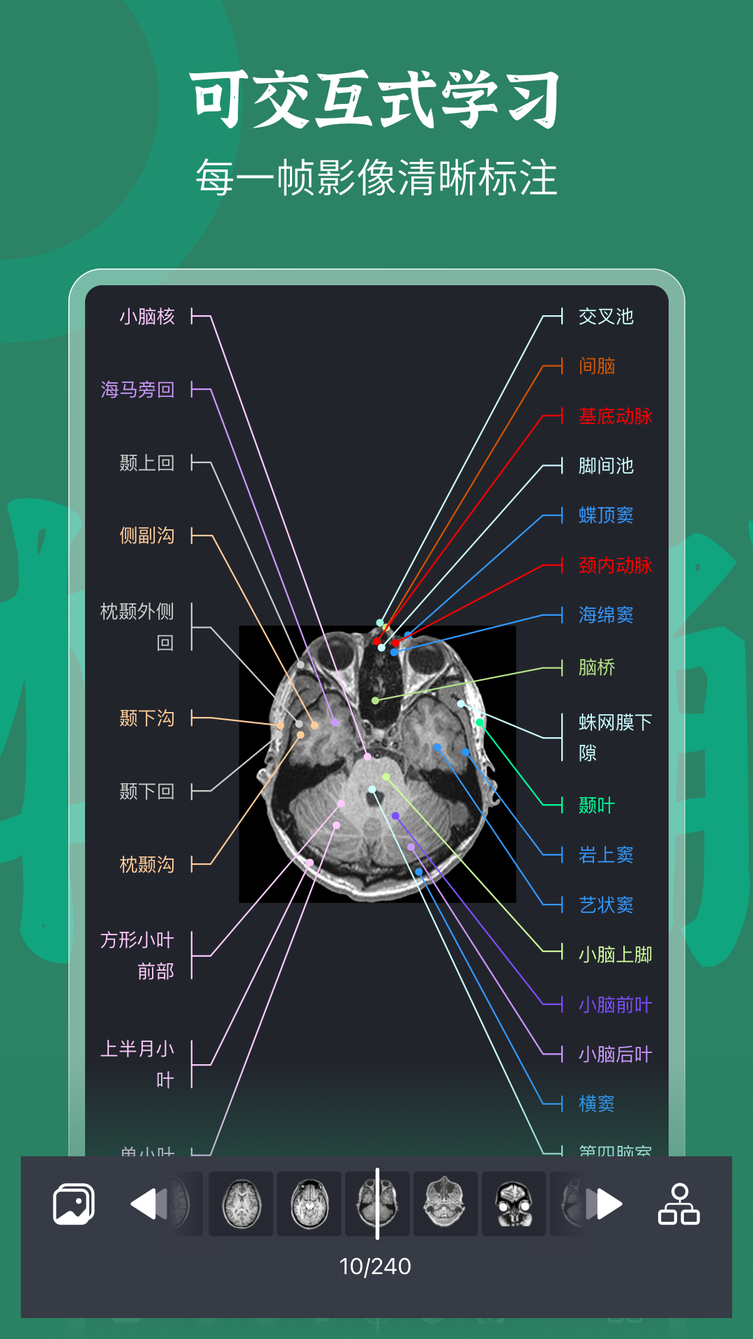 万康人体解剖app 截图3