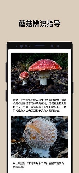 蘑菇识别扫一扫最新版 截图3