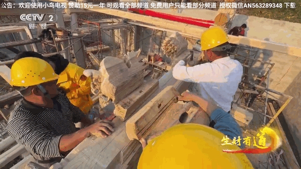 小鸟电视TV免费版 截图4