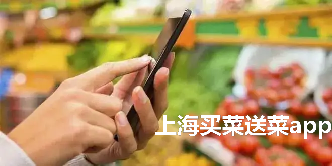 上海买菜送菜app