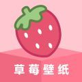 草莓壁纸app  v1.7.0