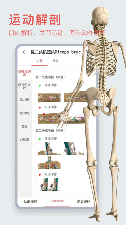 3d人体模型app