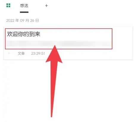 Timo笔记本 截图2